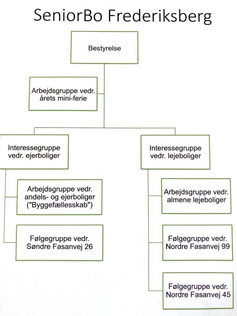 Organisationsdiagram2024